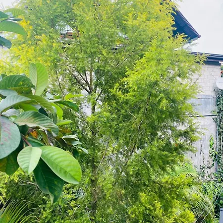 Ella Leafy Homestay Exterior photo