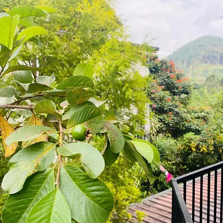 Ella Leafy Homestay Room photo